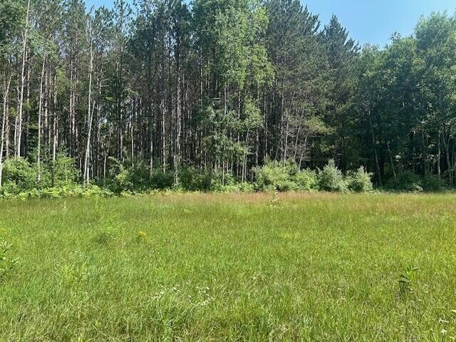 4110 S Mcvety Rd, Merritt, MI 49667 - photo 45