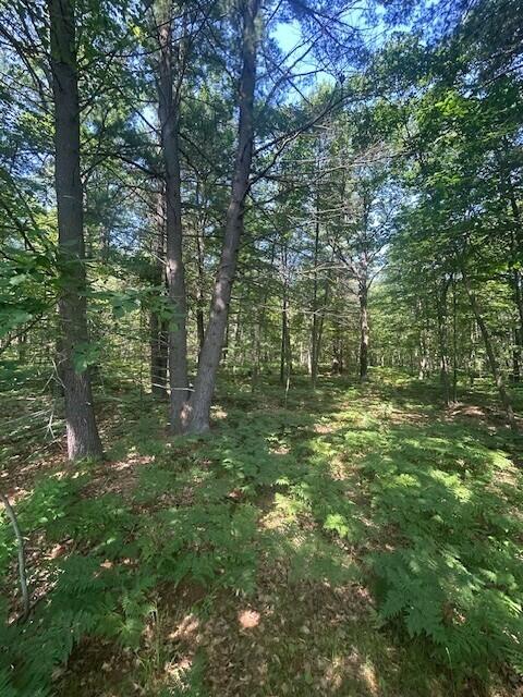 4110 S Mcvety Rd, Merritt, MI 49667 - photo 46