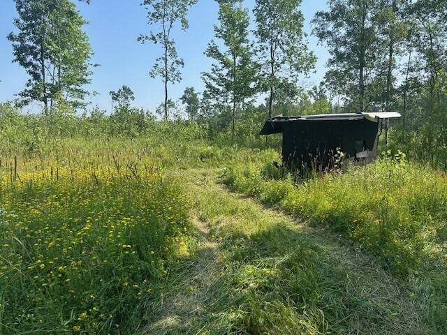 4110 S Mcvety Rd, Merritt, MI 49667 - photo 49