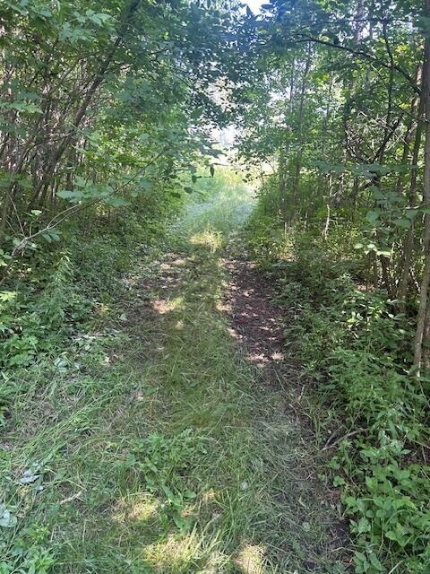 4110 S Mcvety Rd, Merritt, MI 49667 - photo 50