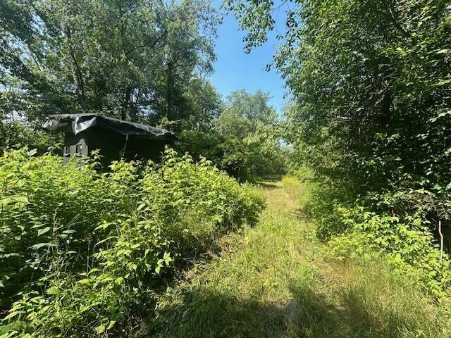 4110 S Mcvety Rd, Merritt, MI 49667 - photo 51