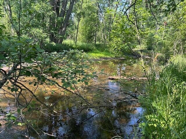 4110 S Mcvety Rd, Merritt, MI 49667 - photo 29