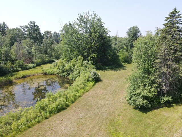 4110 S Mcvety Rd, Merritt, MI 49667 - photo 5