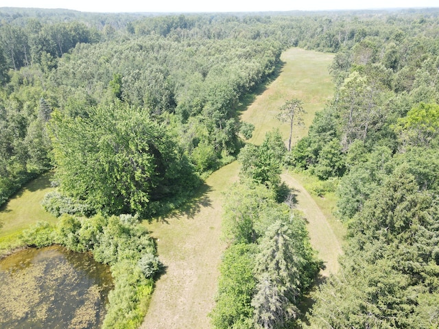 4110 S Mcvety Rd, Merritt, MI 49667 - photo 6