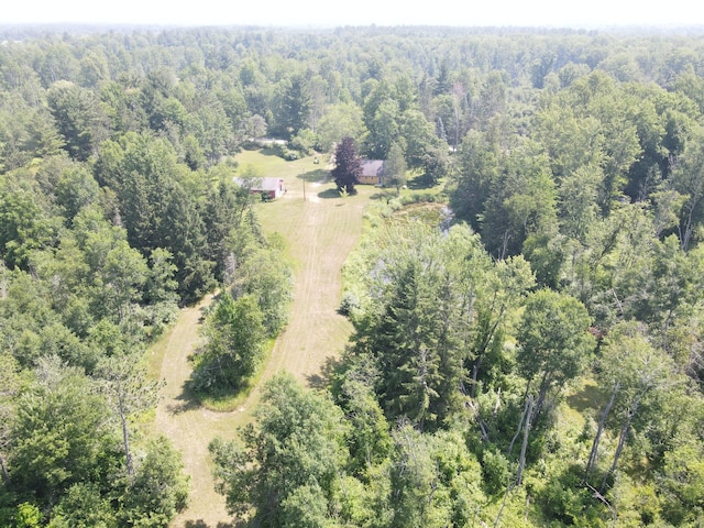 4110 S Mcvety Rd, Merritt, MI 49667 - photo 7