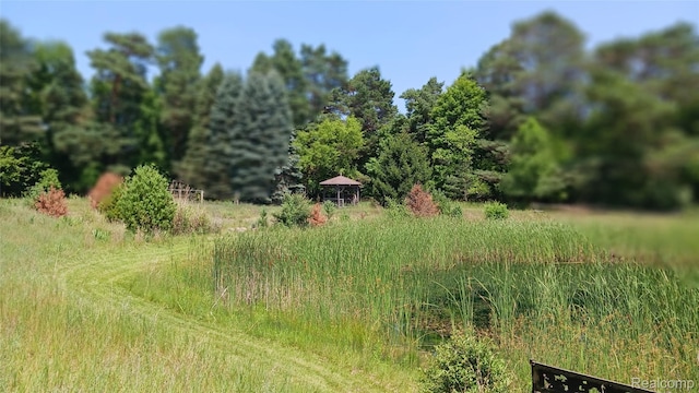 0DECKERVILLE Deckerville, Cass City, MI 48726 - photo 6