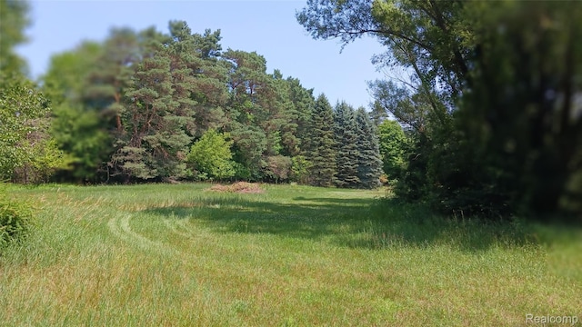 0DECKERVILLE Deckerville, Cass City, MI 48726 - photo 12