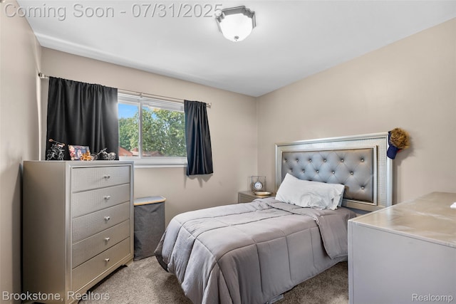 13305 Bloomfield Ave, Warren, MI 48089 - photo 13