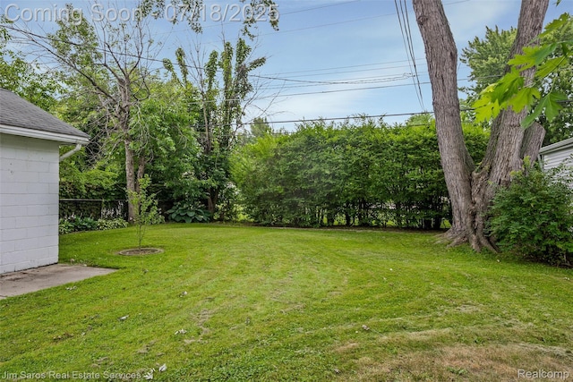 22615 Carolina St, Saint Clair Shores, MI 48080 - photo 15