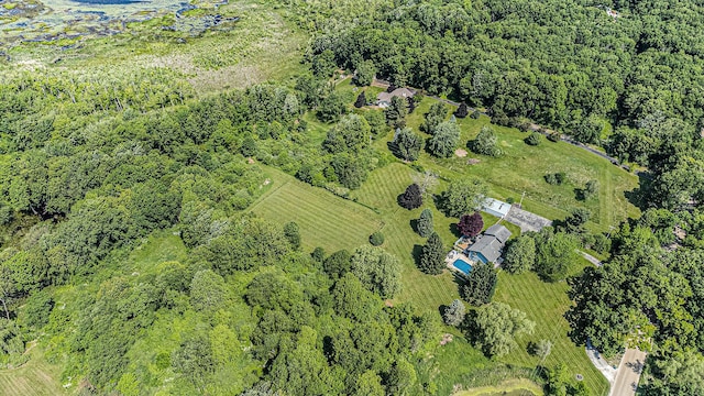 4815 Wylie Rd, Dexter, MI 48130 - photo 72