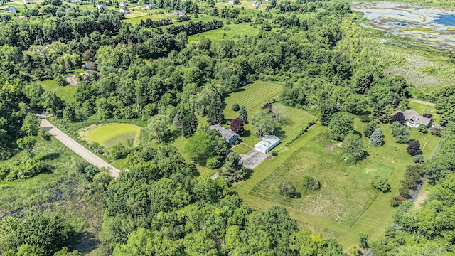 4815 Wylie Rd, Dexter, MI 48130 - photo 71