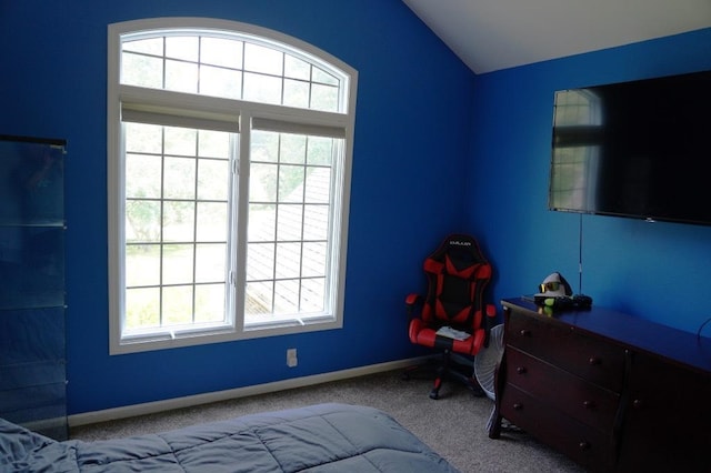 233 Faust Dr, Ortonville, MI 48462 - photo 33