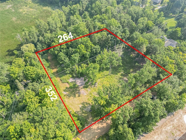 7230 Walnut Lake Rd, West Bloomfield, MI 48323 - photo 5