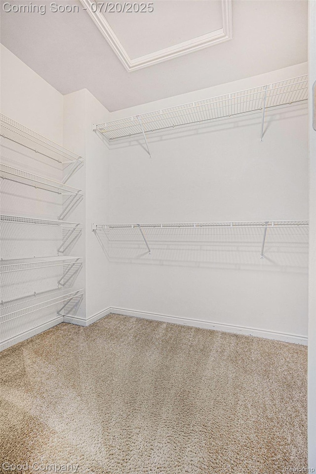 26128 Joanne Smith Ln, New Baltimore, MI 48051 - photo 17