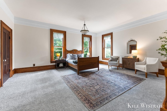 205 Pearl St, Belding, MI 48809 - photo 27