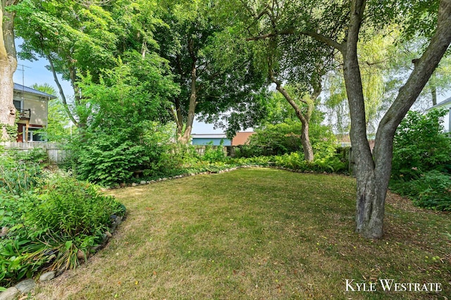 205 Pearl St, Belding, MI 48809 - photo 39
