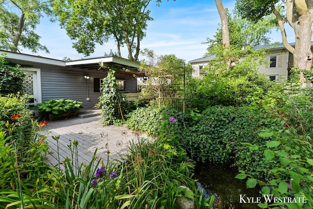 205 Pearl St, Belding, MI 48809 - photo 38