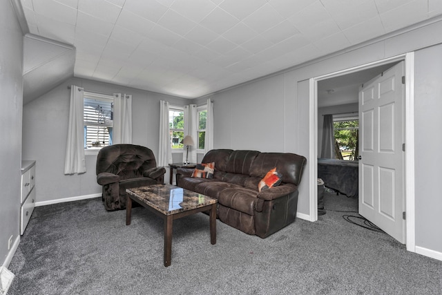 515 Mccourtie St, Kalamazoo, MI 49008 - photo 5