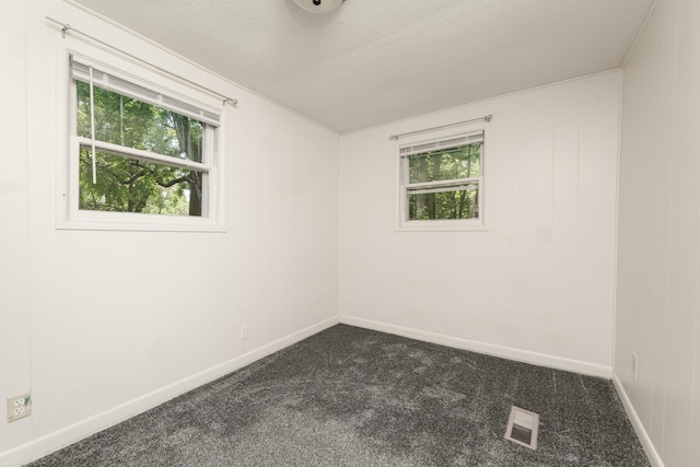 515 Mccourtie St, Kalamazoo, MI 49008 - photo 10