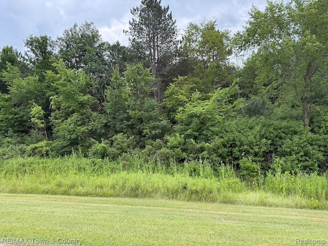 0 Vienna, Clio, MI 48420 - photo 2