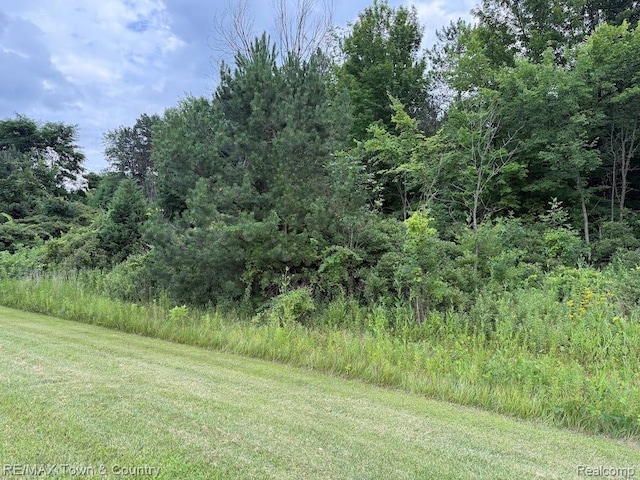 0 Vienna, Clio, MI 48420 - photo 4