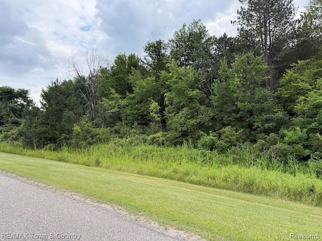 0 Vienna, Clio, MI 48420 - photo 3