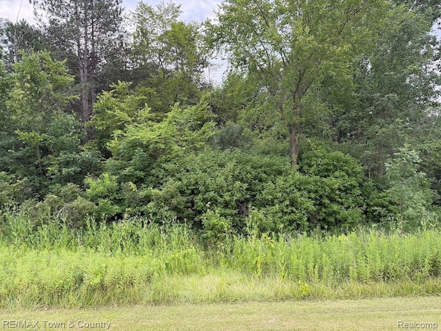 0 Vienna, Clio, MI 48420 - photo 5