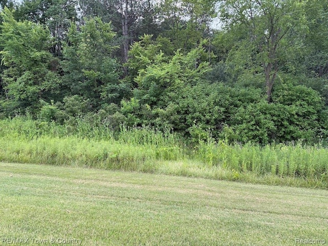 0 Vienna, Clio, MI 48420 - photo 1