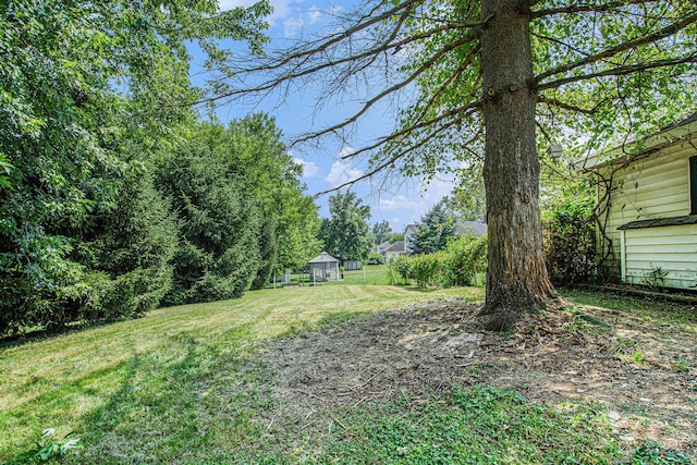 339 N Dwight St, Jackson, MI 49202 - photo 22