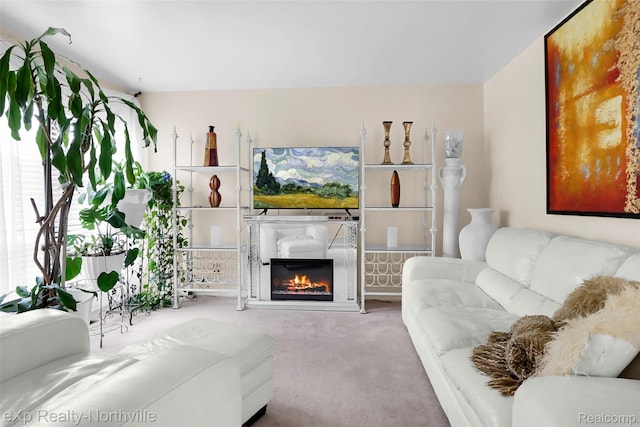 20937 Sherman Ave Unit 17, Southfield, MI 48033 - photo 3