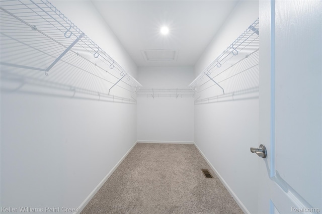 5225 Marie Ln, Sterling Heights, MI 48310 - photo 34