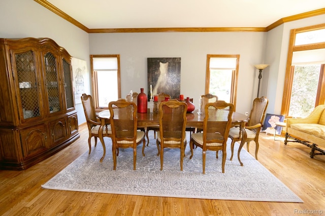 51244 Forster Ln, Shelby Twp, MI 48316 - photo 4