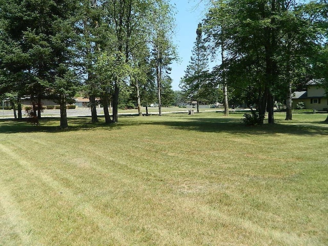 TBD Forest Avenue, Clare, MI 48617 - photo 2