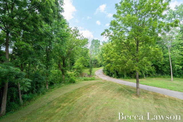 5585 Hochberger Rd, Eau Claire, MI 49111 - photo 49