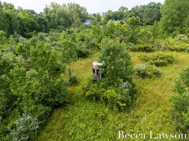 5585 Hochberger Rd, Eau Claire, MI 49111 - photo 59