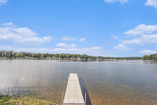 10142 Walnut Dr, Three Rivers, MI 49093 - photo 23