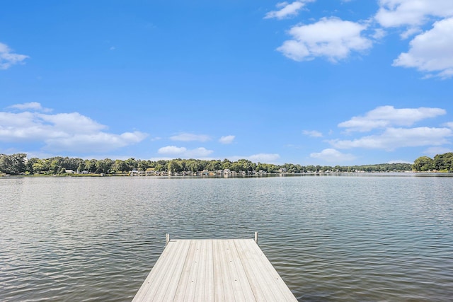 10142 Walnut Dr, Three Rivers, MI 49093 - photo 26