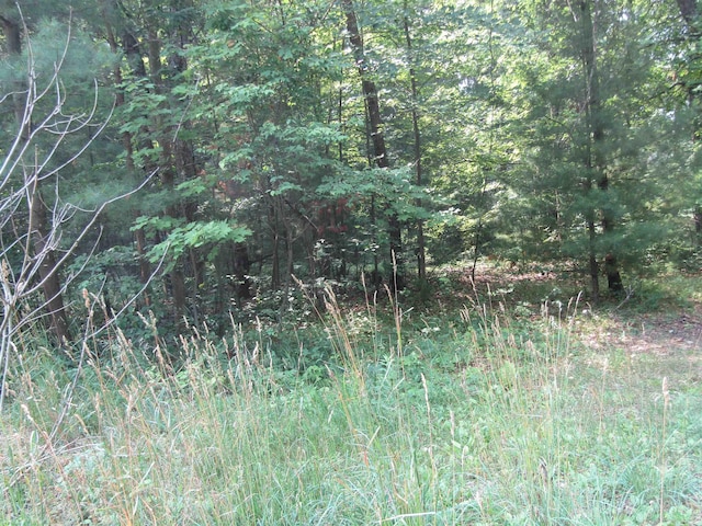 00VL George St, Prescott, MI 48756 - photo 1