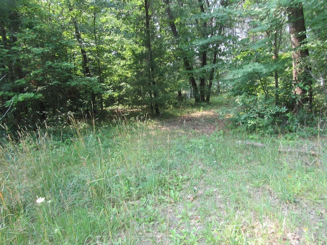 00VL George St, Prescott, MI 48756 - photo 2
