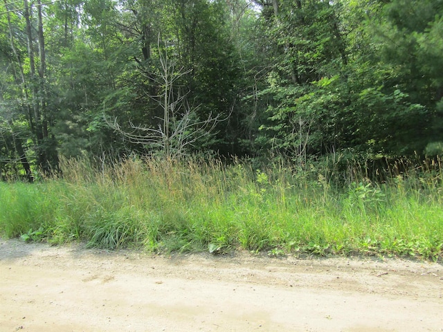 00VL George St, Prescott, MI 48756 - photo 4