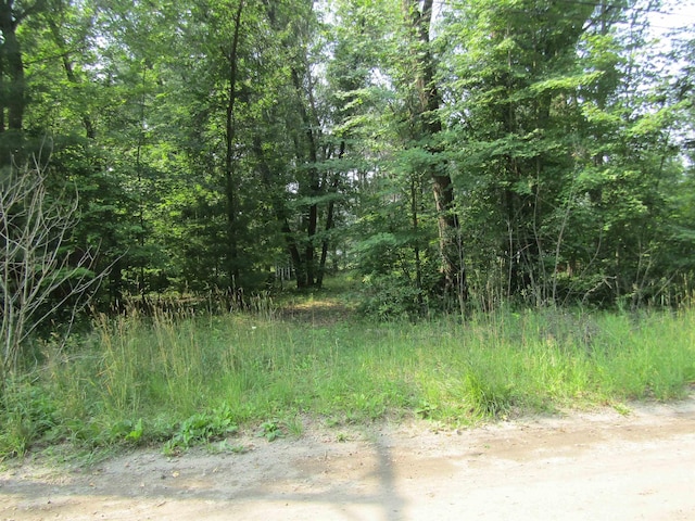 00VL George St, Prescott, MI 48756 - photo 3