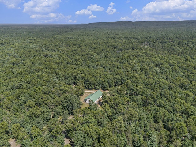 2122 Skocelas Rd S, Manistee, MI 49660 - photo 42
