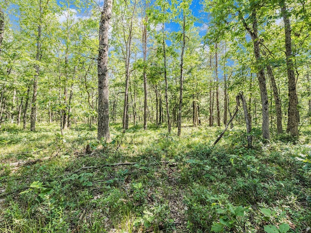 2122 Skocelas Rd S, Manistee, MI 49660 - photo 50