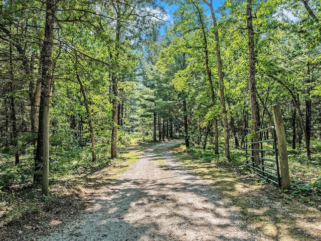 2122 Skocelas Rd S, Manistee, MI 49660 - photo 34