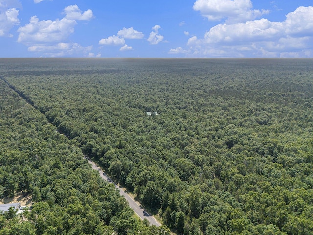 2122 Skocelas Rd S, Manistee, MI 49660 - photo 44