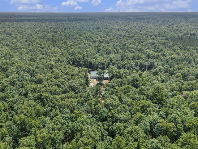 2122 Skocelas Rd S, Manistee, MI 49660 - photo 45