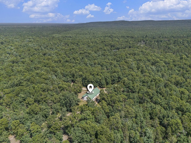 2122 Skocelas Rd S, Manistee, MI 49660 - photo 46