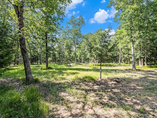 2122 Skocelas Rd S, Manistee, MI 49660 - photo 48