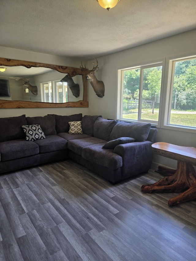9918 Pueblo Trl, Evart, MI 49631 - photo 18