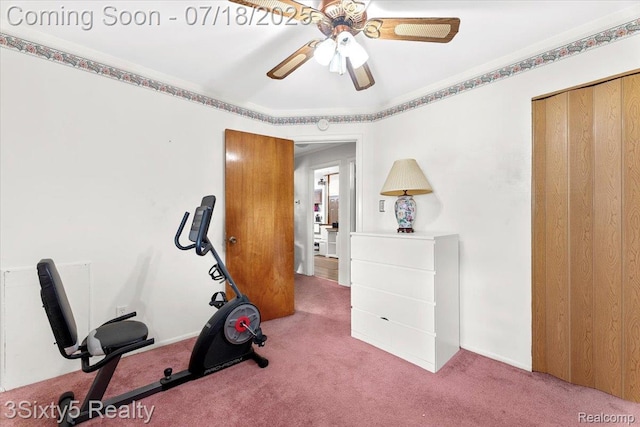 7349 Birch St, Trenton, MI 48180 - photo 11